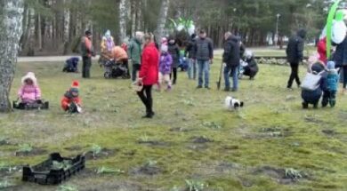 VENTSPILĪ JAU DEVĪTO PAVASARI KOLEKTĪVI STĀDA SNIEGPULKSTEŅUS