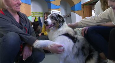 Ventspilī dzīvojošos ukraiņu bērnus iepriecina ar suņu terapiju